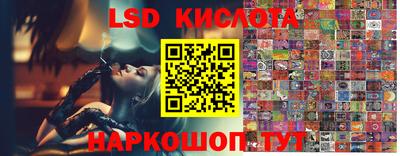 трава Кингисепп