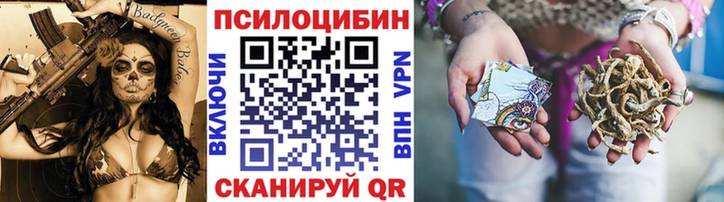 MEGA вход  что такое наркотик  Кинешма  Псилоцибиновые грибы ЛСД 