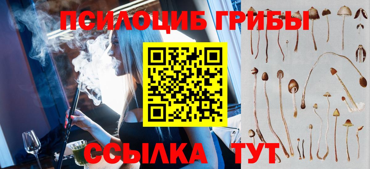 Псилоцибиновые грибы мицелий  Вход с VPN  Кинешма 